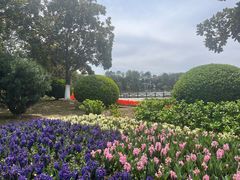 -上海鲜花港