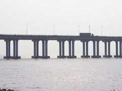 -宝安西湾红树林湿地公园