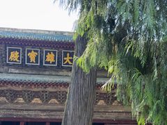 -报恩寺(平武县)