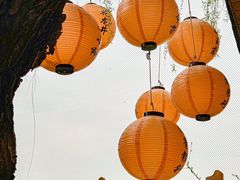 -抱雲轩·湖景庭院茶空间(东湖阳光店)