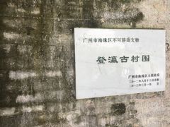 -小洲村