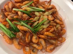 -碧丽宫大酒店(召稼楼店)