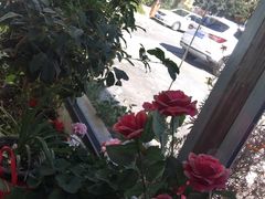 -羊肉大仙(金凯广场店)