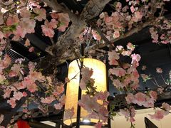 -龙湖星悦荟(颐和店)