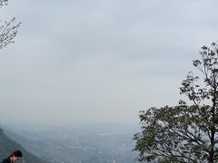 -林中乐辣子鸡(歌乐山总店)