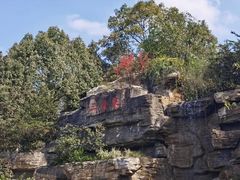 -铁山坪森林公园