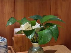 -花和海鲜自助(梅江店)