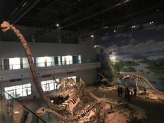 -自贡恐龙博物馆