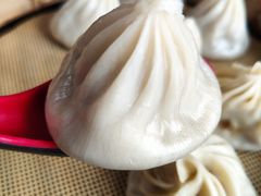 鲜肉小笼-王興記(崇安寺店)
