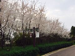 -南京市江宁方山