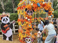 -灵玲国际马戏城