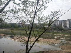 -恩阳古镇