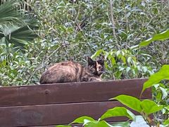 -老房子金沙元年川菜食府·花园餐厅(金沙店)