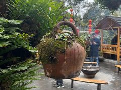 -青城甲(青城山店)