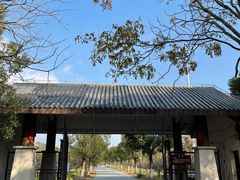 -上海海湾国家森林公园