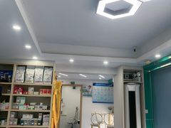 -博特宠物医院24h犬猫全科.骨科·异宠