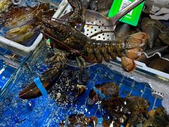 -船奇蒸汽海鲜·闽菜(八市海鲜总店)