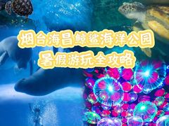 -烟台海昌鲸鲨海洋公园