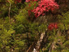 -西泰山风景区