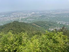 -树山生态村