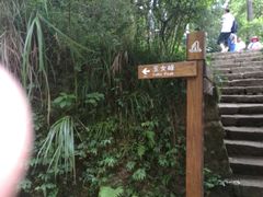 -武夷山风景名胜区-玉女峰