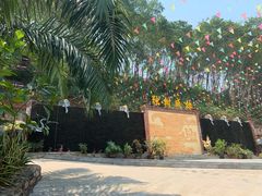 -瑞丽独树成林风景区