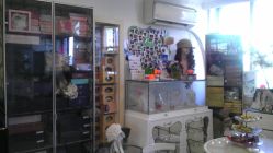 -上海彩妆秀摄影设计有限公司