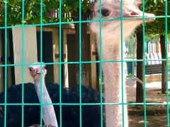 -武汉紫薇都市田园