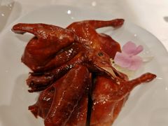 -新雅粤菜馆(南京东路店)