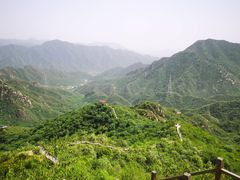 -大岭沟猕猴桃谷风景区