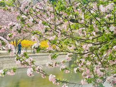 -元大都城垣遗址公园