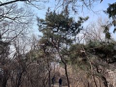 -北京西山国家森林公园