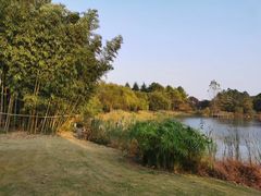 -中国浦东干部学院