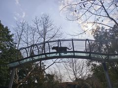 -宁波野生动物园