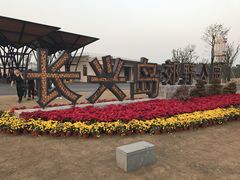 -上海长兴岛郊野公园