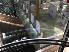 -斯博特游泳俱乐部(洲际酒店)