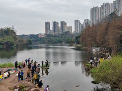 -重庆彩云湖湿地公园