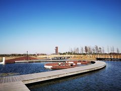 -春花秋色城市公园