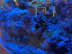 -快乐海鲜酒楼(滇池路店)