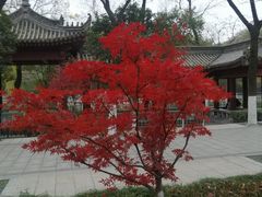 -莲湖公园