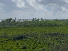 -东寨港红树林旅游区