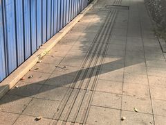 -大学城夜市