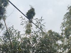 -寻味乌镇·龙虾烧烤