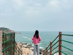 -广东惠东海龟国家级自然保护区