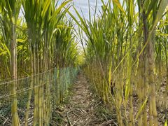 -汉长安城未央宫国家考古遗址公园