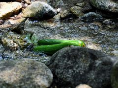 -萍乡武功山风景名胜区