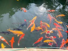 景观位-千滋百味·醉江澜花园餐厅(街道口店)
