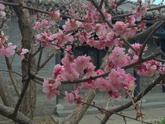 -竹泉村旅游度假区