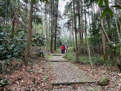 -潜山国家森林公园