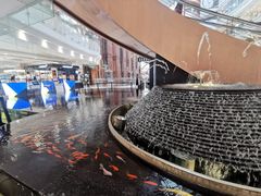 -新世界大丸百货